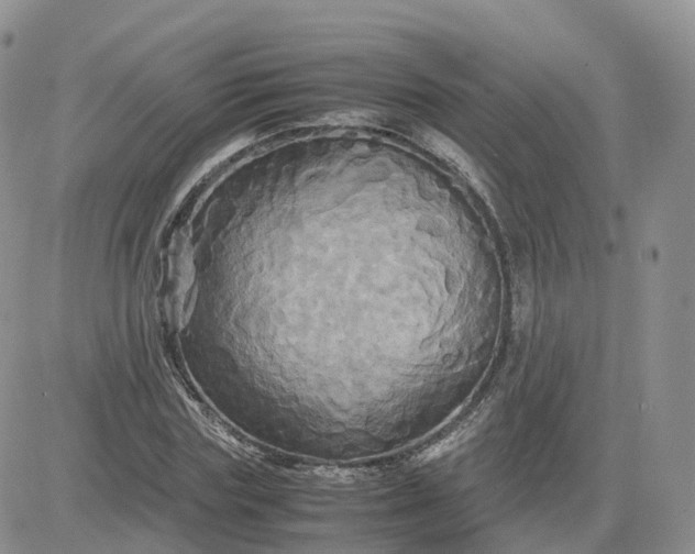 X0000083640827200702261048