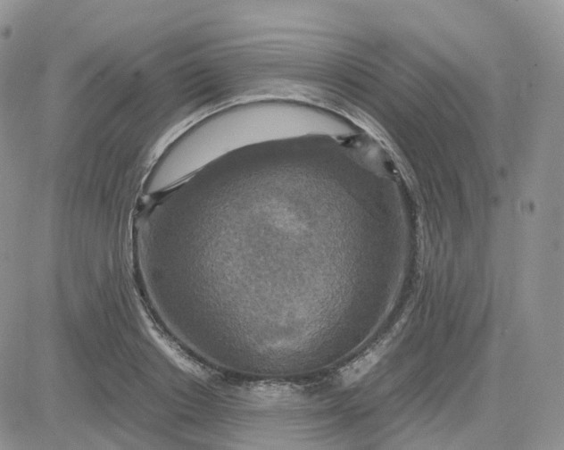X0000083640842200702261048