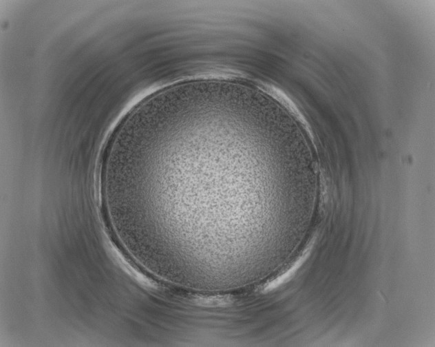 X0000083640843200702261048