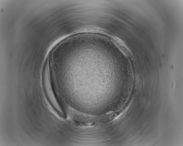 X0000083640846200702261048