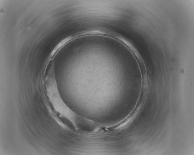 X0000083640858200702261048