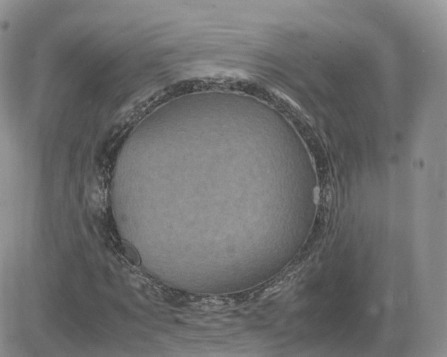 X0000083640869200702261048