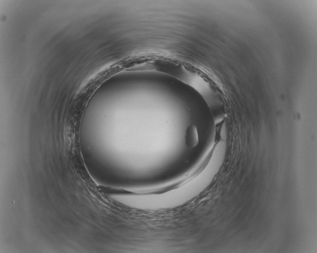 X0000083640872200702261048