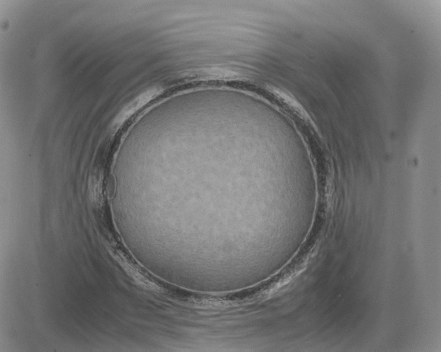 X0000083640873200702261048
