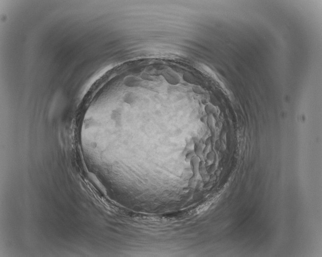 X0000083640875200702261048
