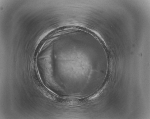 X0000083640879200702261048
