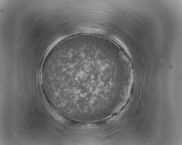 X0000083640891200702261047