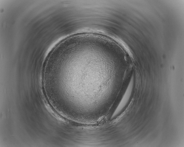 X0000083640896200702261047
