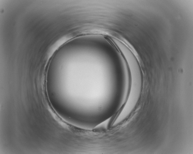 X0000083640909200702261047