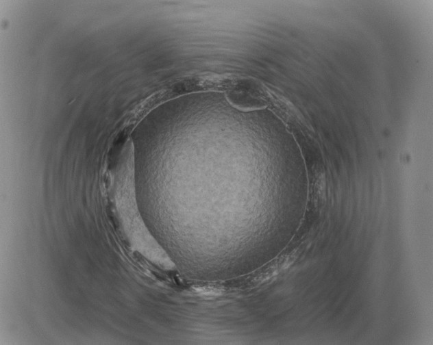 X0000083640914200702261046