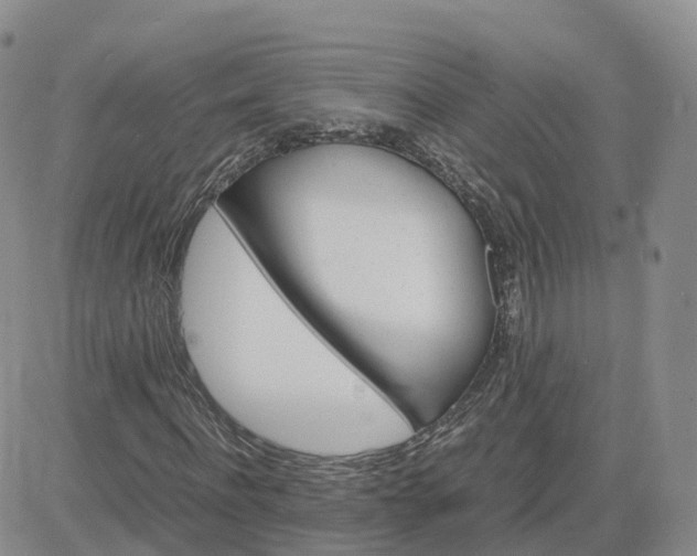 X0000083640916200702261046