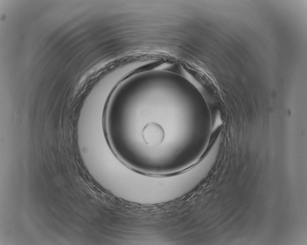 X0000083640920200702261046