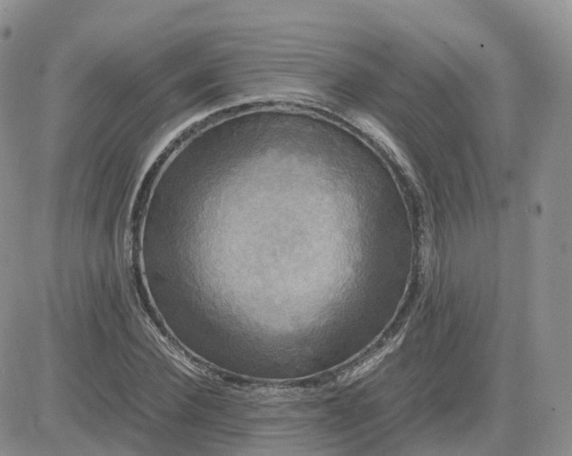 X0000083640924200702261046