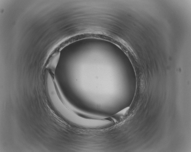X0000083640926200702261046
