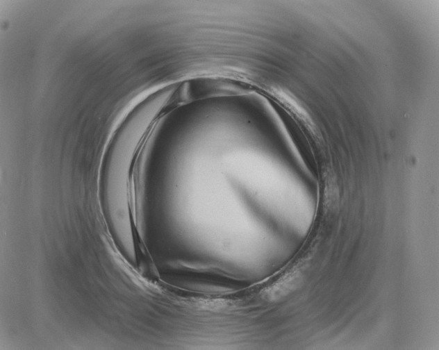 X0000083640940200702261047