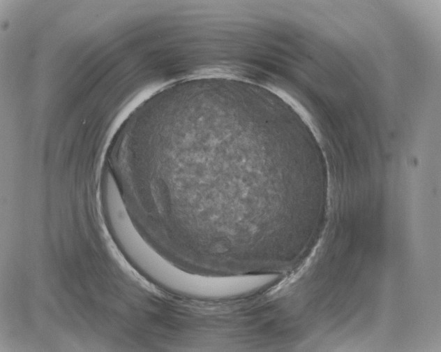 X0000083640949200702261047