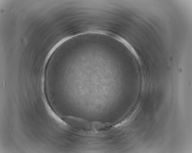 X0000083640955200702261047