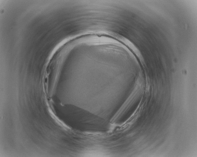 X0000083640958200702261047