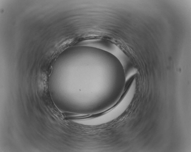 X0000083640964200702261046