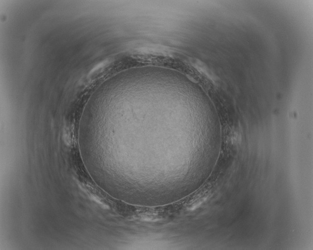 X0000083640965200702261046