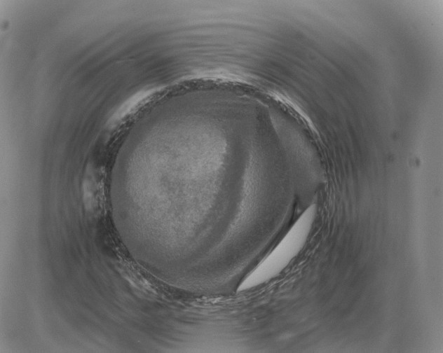 X0000083640968200702261046