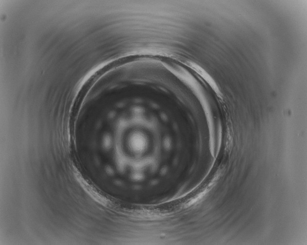 X0000083640980200702261046