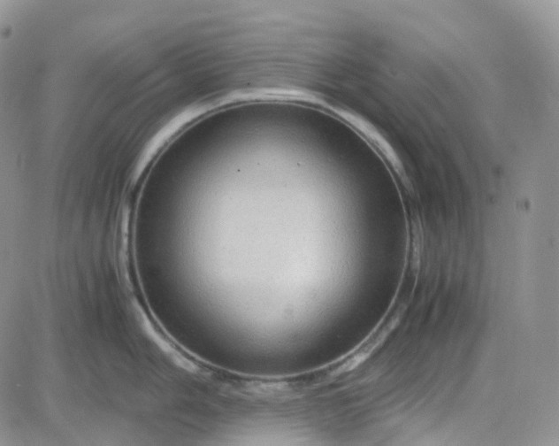 X0000083641006200702261045