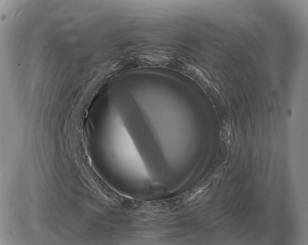 X0000083641009200702261045