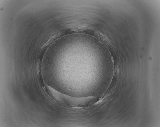 X0000083641012200702261045