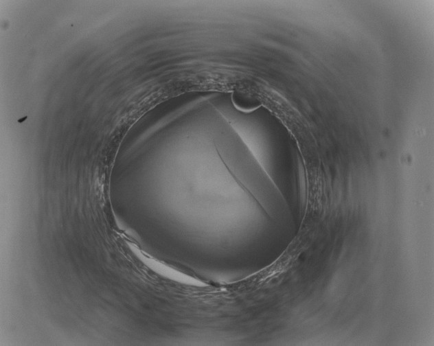 X0000083641013200702261045
