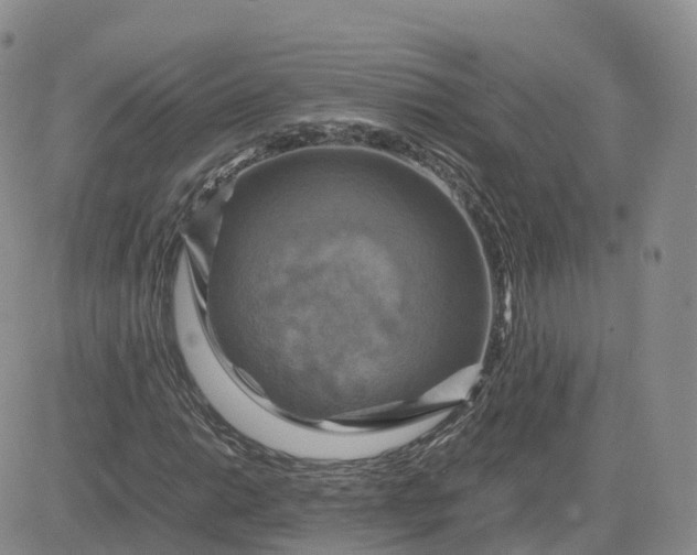 X0000083641014200702261045