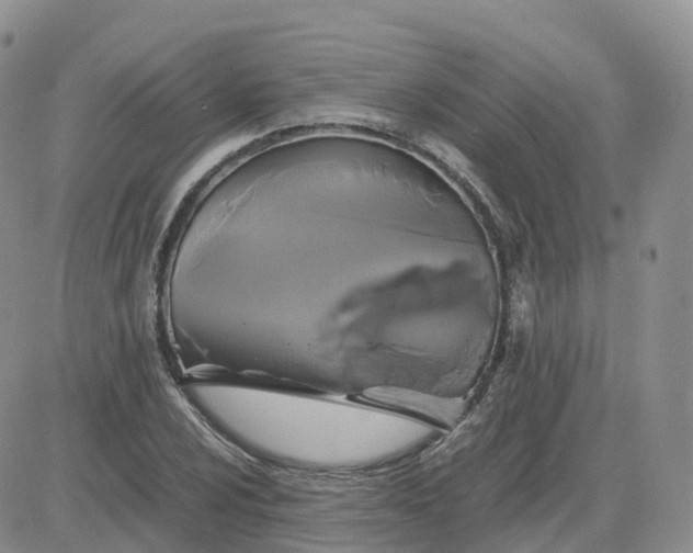 X0000083641024200702261045