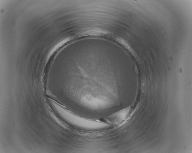 X0000083641026200702261045