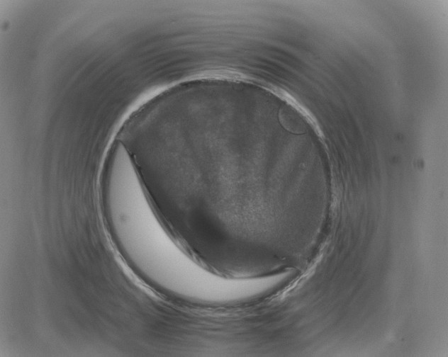 X0000083641037200702261045