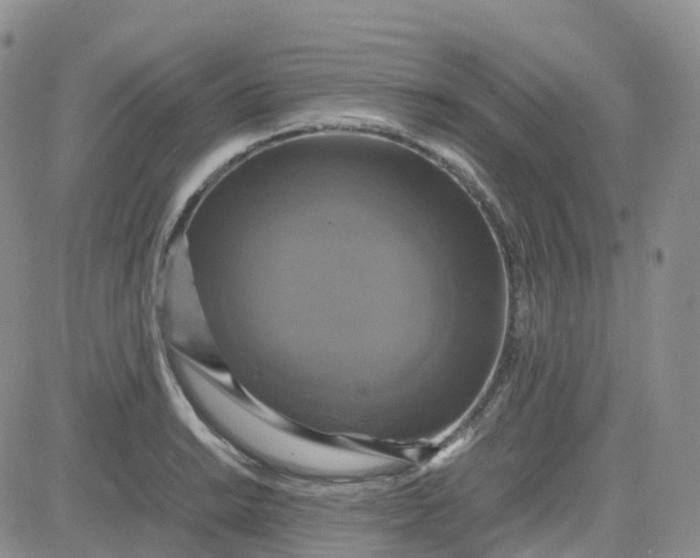X0000083641038200702261045