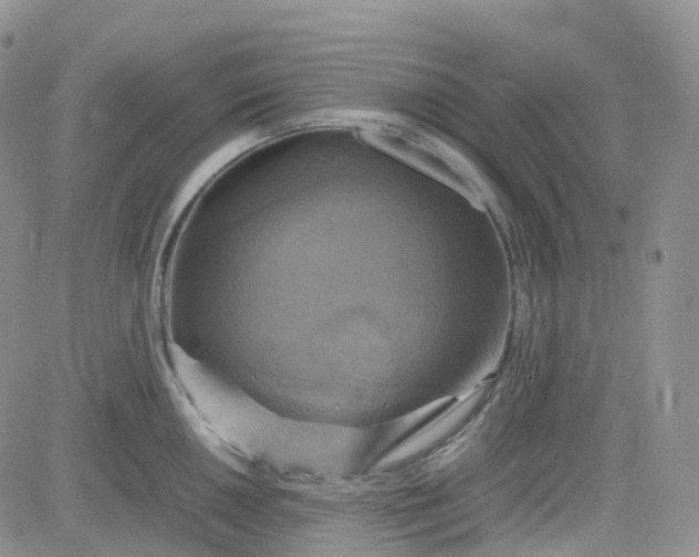 X0000083641050200702261045