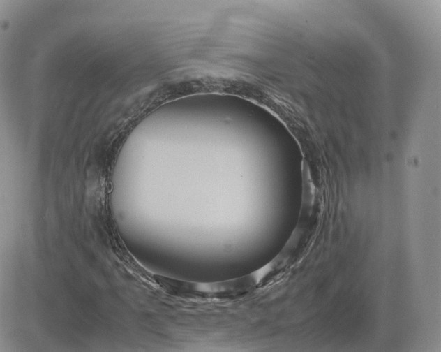 X0000083641061200702261045