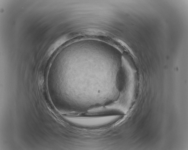 X0000083641065200702261044