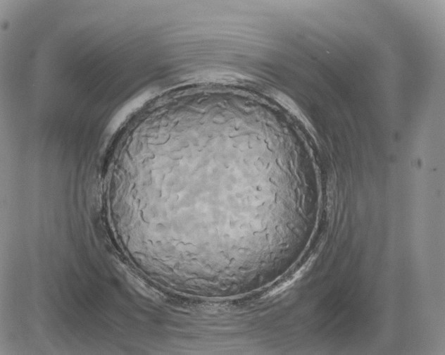 X0000083641067200702261044
