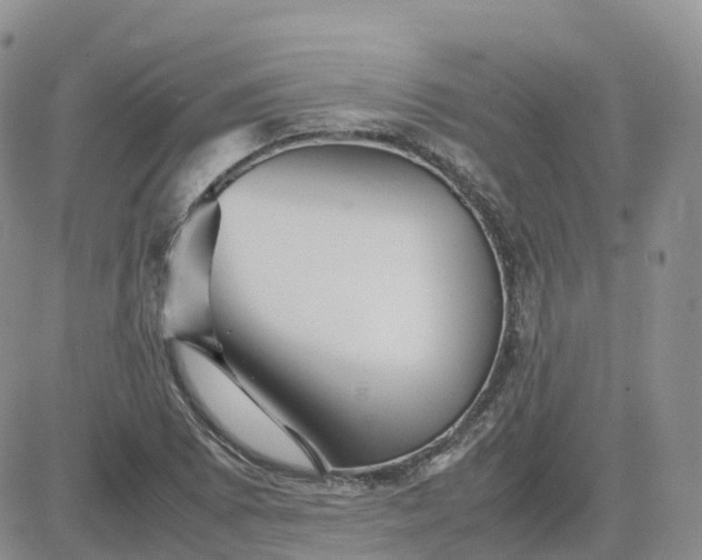 X0000083641073200702261044