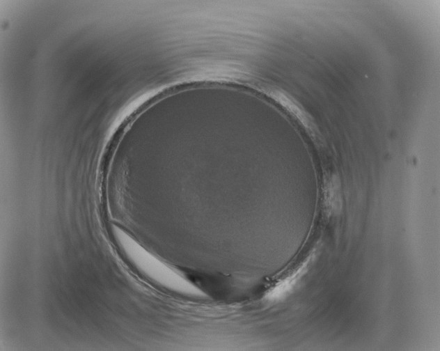 X0000083641077200702261044