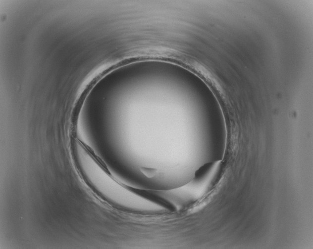 X0000083641085200702261044