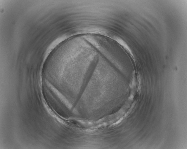 X0000083641088200702261044