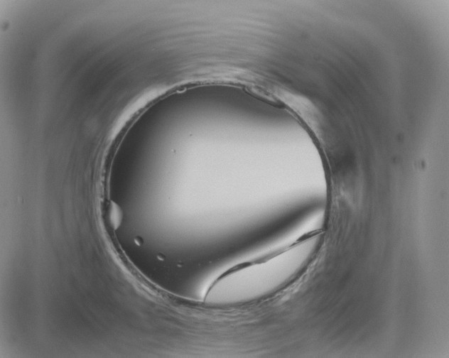 X0000083641093200702261044
