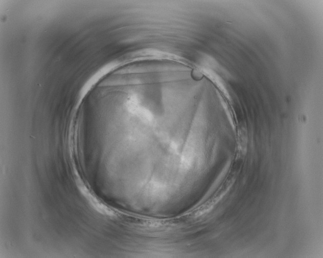 X0000083641098200702261044