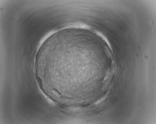 X0000083641103200702261044