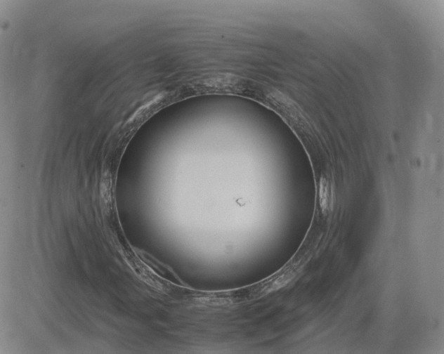 X0000083641107200702261043