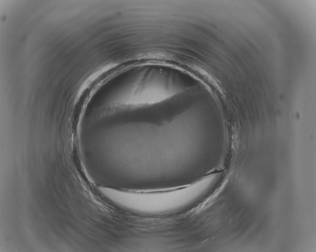 X0000083641117200702261043