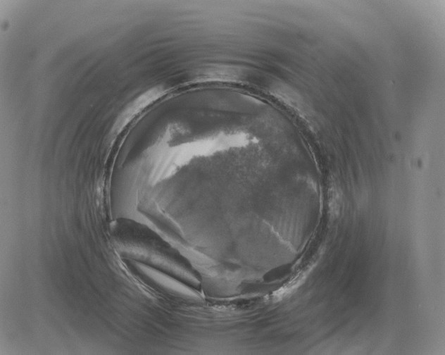 X0000083641121200702261043