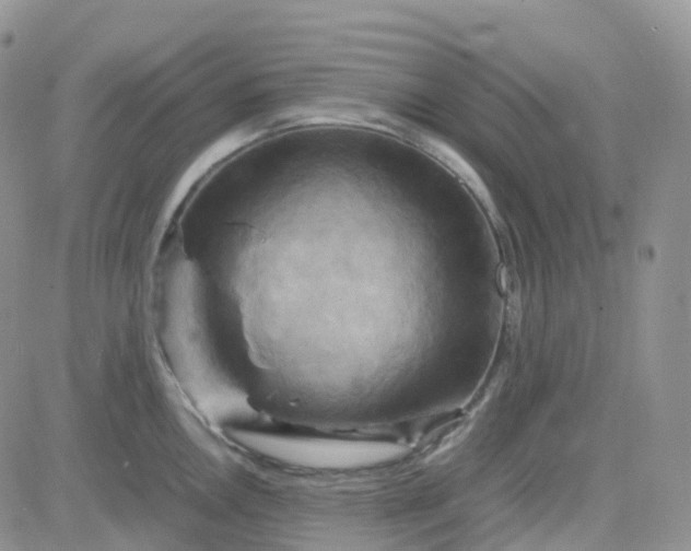 X0000083641146200702261044